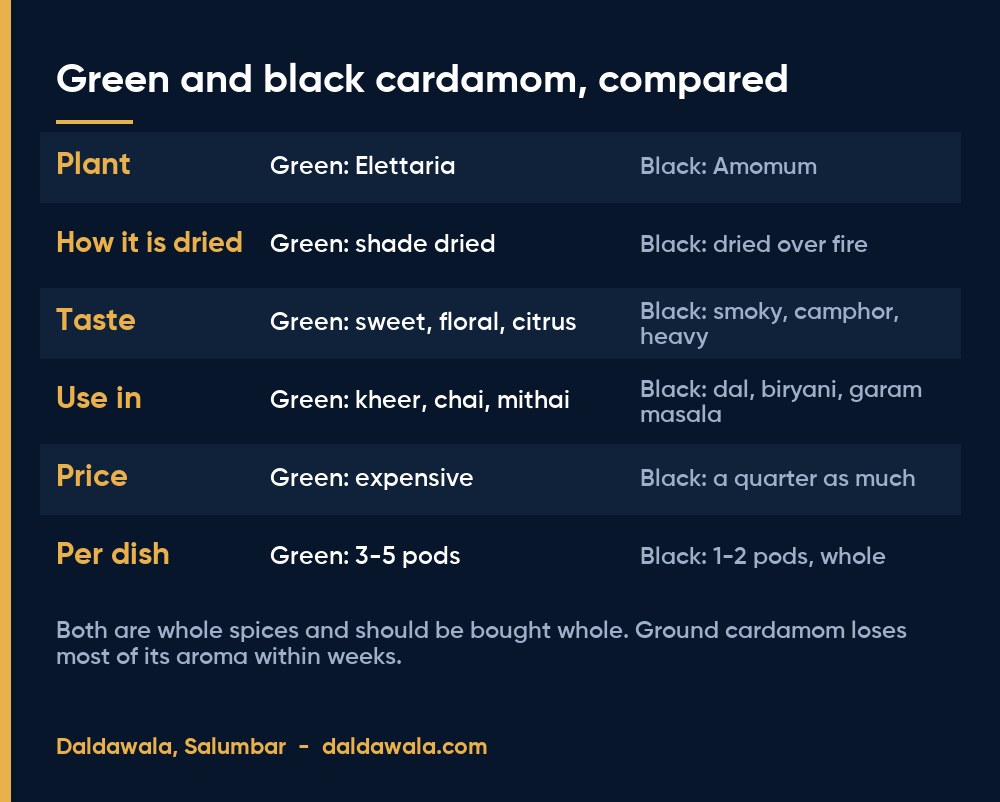 Green and black cardamom, compared - Daldawala, Salumbar