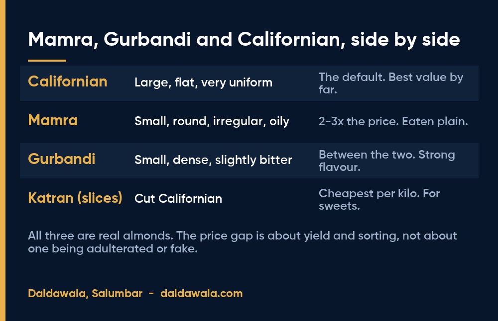 Mamra, Gurbandi and Californian, side by side - Daldawala, Salumbar
