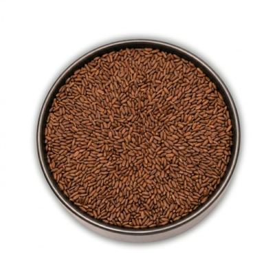 Aliv Seeds