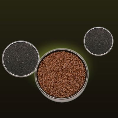 Seeds